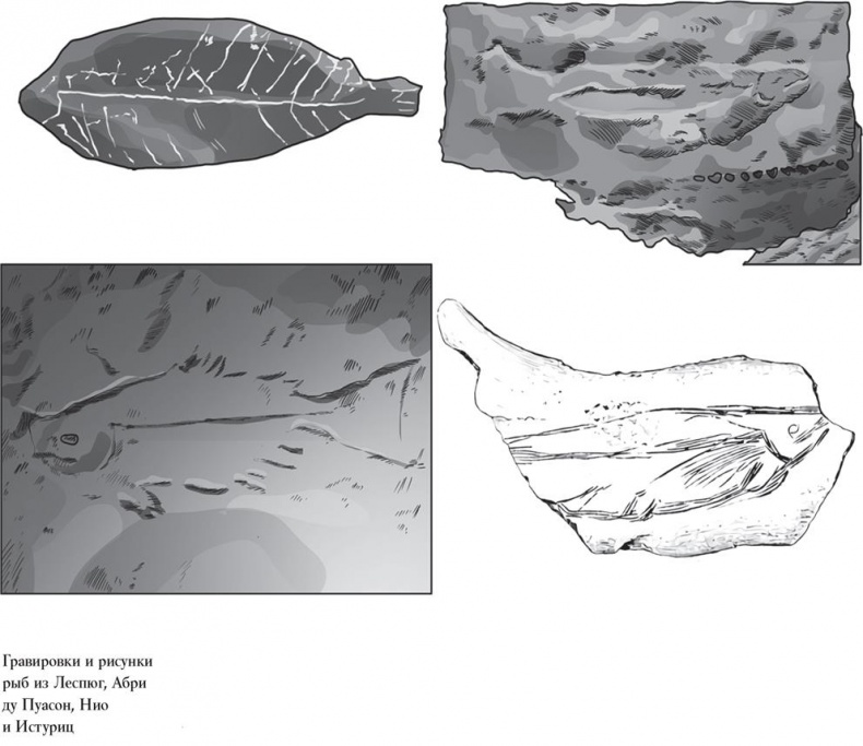 Иллюстрация к книге — Байки из грота. 50 историй из жизни древних людей [i_147.jpg]