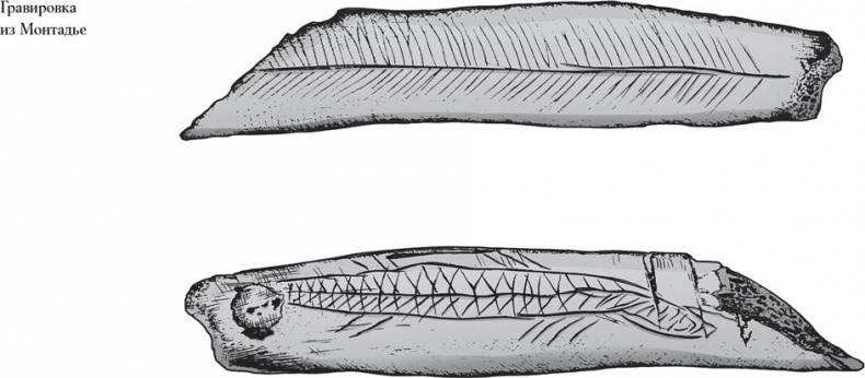 Иллюстрация к книге — Байки из грота. 50 историй из жизни древних людей [i_148.jpg]