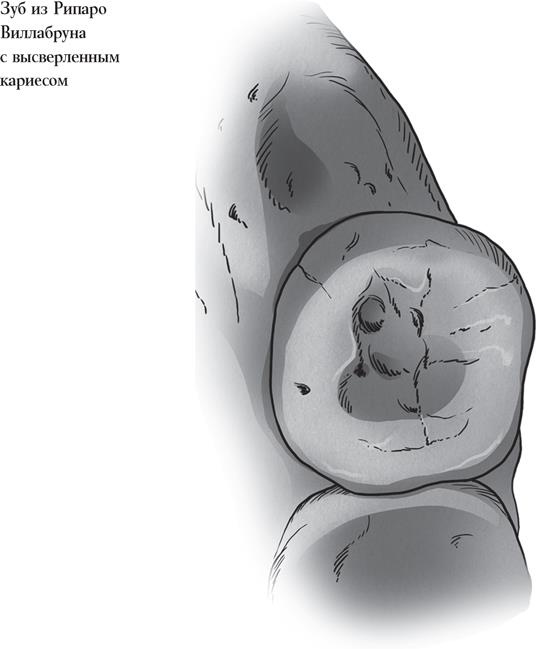 Иллюстрация к книге — Байки из грота. 50 историй из жизни древних людей [i_163.jpg]