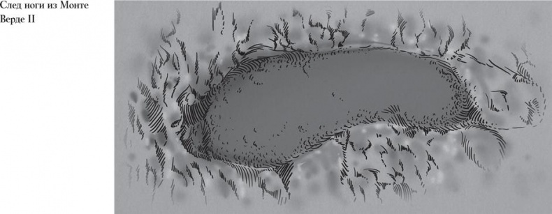 Иллюстрация к книге — Байки из грота. 50 историй из жизни древних людей [i_166.jpg]