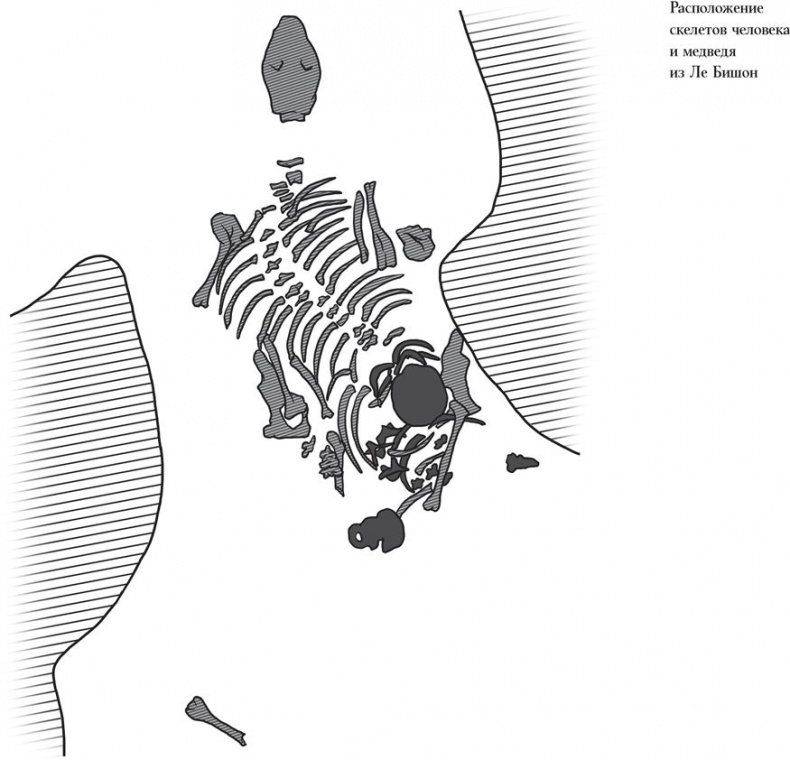 Иллюстрация к книге — Байки из грота. 50 историй из жизни древних людей [i_168.jpg]