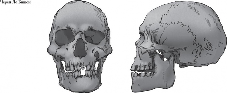 Иллюстрация к книге — Байки из грота. 50 историй из жизни древних людей [i_169.jpg]