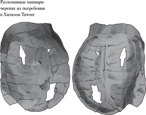 Иллюстрация к книге — Байки из грота. 50 историй из жизни древних людей [i_177.jpg]