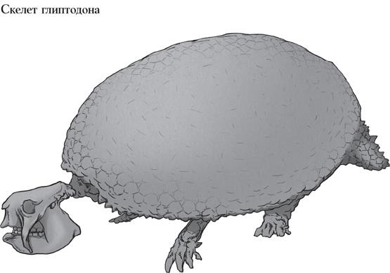 Иллюстрация к книге — Байки из грота. 50 историй из жизни древних людей [i_181.jpg]