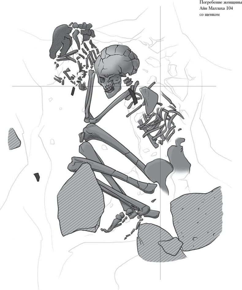 Иллюстрация к книге — Байки из грота. 50 историй из жизни древних людей [i_184.jpg]