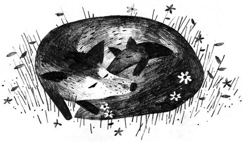 Иллюстрация к книге — Пакс [i_014.jpg]