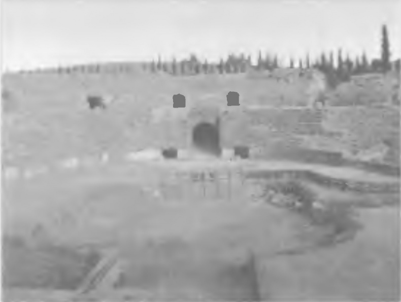 Иллюстрация к книге — История древней Испании [img_38.jpg]