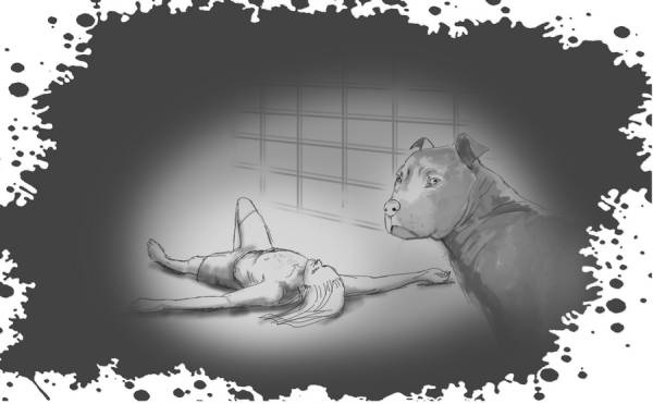 Иллюстрация к книге — Гномка в помощь, или Ося из Ллося [i_047.jpg]