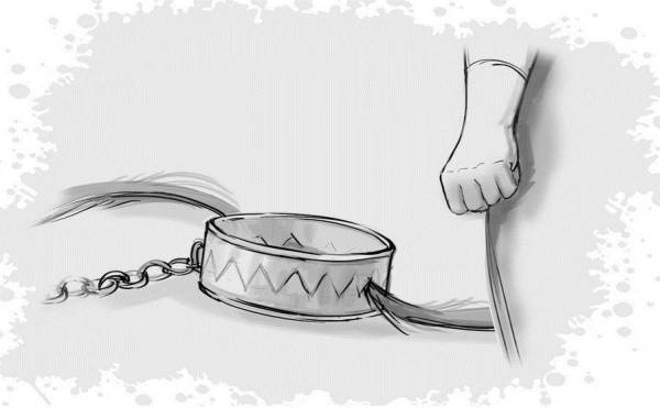 Иллюстрация к книге — Гномка в помощь, или Ося из Ллося [i_183.jpg]