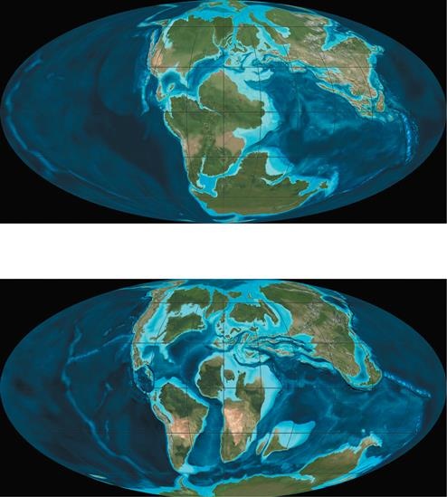 Иллюстрация к книге — Динозавры. 150 000 000 лет господства на Земле [i_021.jpg]
