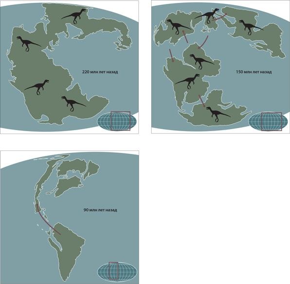 Иллюстрация к книге — Динозавры. 150 000 000 лет господства на Земле [i_022.jpg]