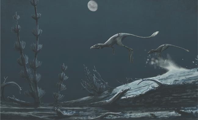 Иллюстрация к книге — Динозавры. 150 000 000 лет господства на Земле [i_029.jpg]