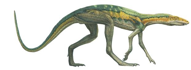 Иллюстрация к книге — Динозавры. 150 000 000 лет господства на Земле [i_031.jpg]