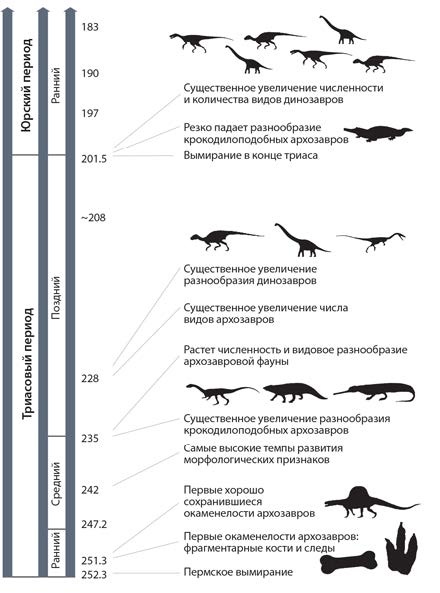 Иллюстрация к книге — Динозавры. 150 000 000 лет господства на Земле [i_034.jpg]