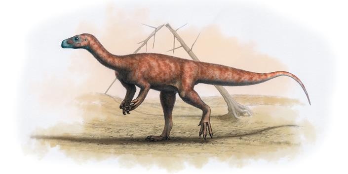 Иллюстрация к книге — Динозавры. 150 000 000 лет господства на Земле [i_038.jpg]