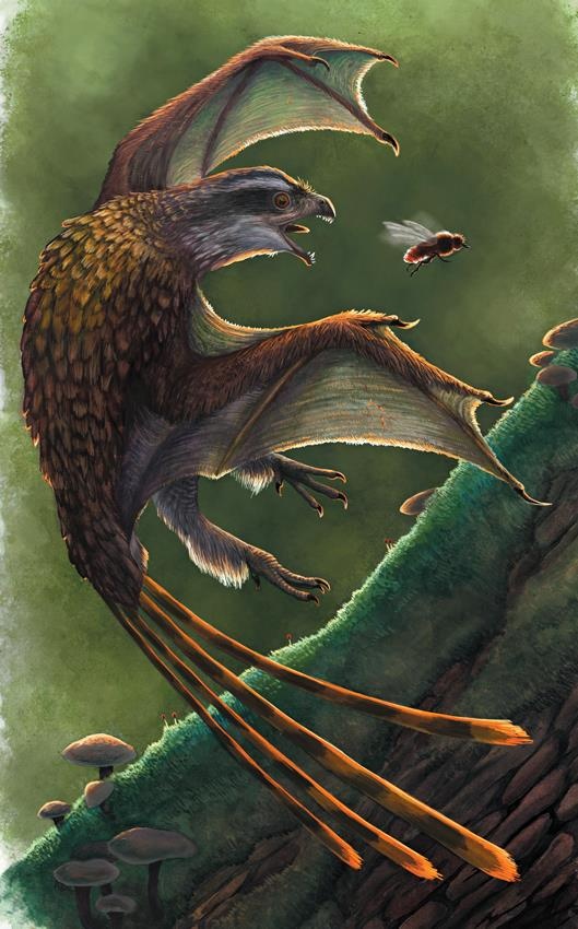 Иллюстрация к книге — Динозавры. 150 000 000 лет господства на Земле [i_050.jpg]