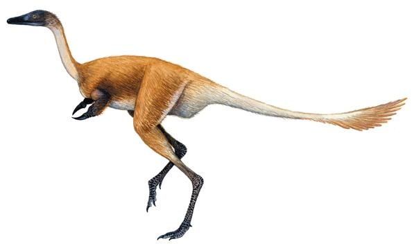 Иллюстрация к книге — Динозавры. 150 000 000 лет господства на Земле [i_051.jpg]