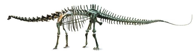 Иллюстрация к книге — Динозавры. 150 000 000 лет господства на Земле [i_054.jpg]