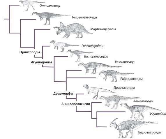 Иллюстрация к книге — Динозавры. 150 000 000 лет господства на Земле [i_073.jpg]