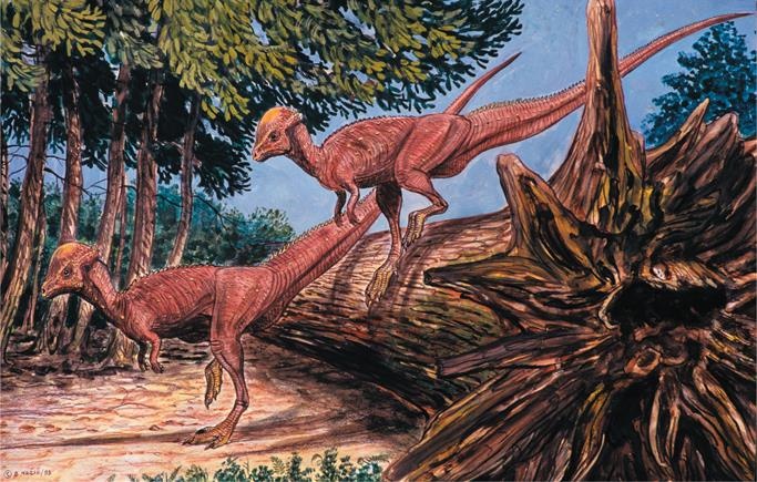 Иллюстрация к книге — Динозавры. 150 000 000 лет господства на Земле [i_078.jpg]