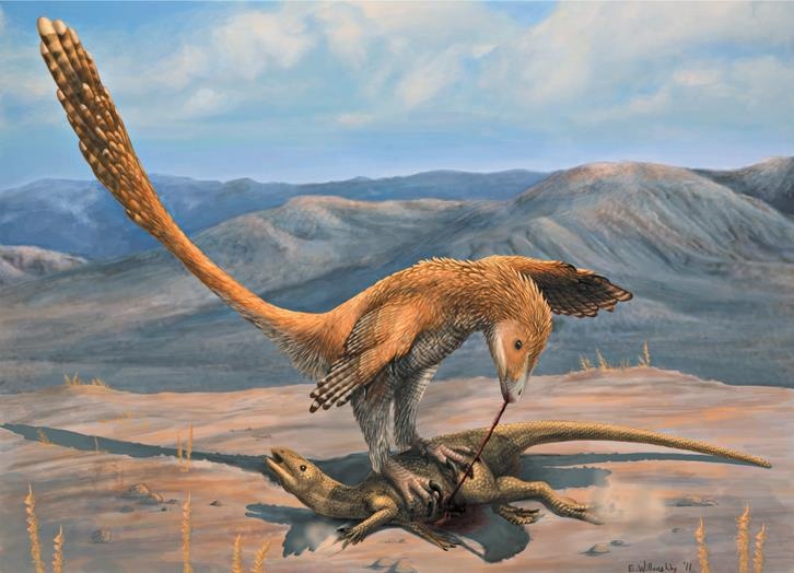 Иллюстрация к книге — Динозавры. 150 000 000 лет господства на Земле [i_142.jpg]