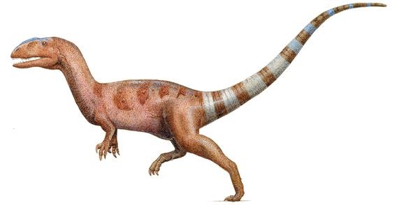 Иллюстрация к книге — Динозавры. 150 000 000 лет господства на Земле [i_152.jpg]