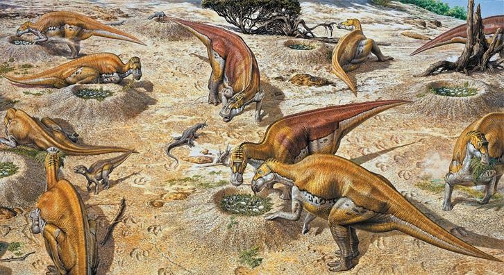 Иллюстрация к книге — Динозавры. 150 000 000 лет господства на Земле [i_170.jpg]