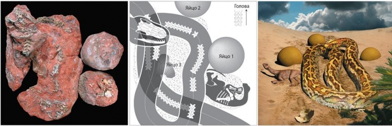 Иллюстрация к книге — Динозавры. 150 000 000 лет господства на Земле [i_171.jpg]