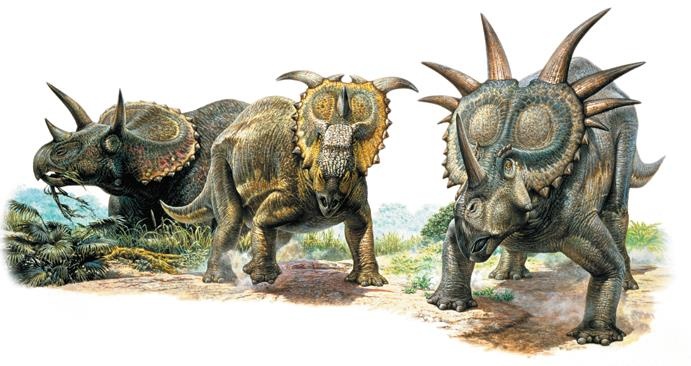 Иллюстрация к книге — Динозавры. 150 000 000 лет господства на Земле [i_177.jpg]