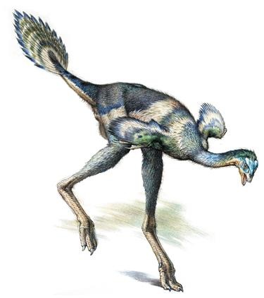 Иллюстрация к книге — Динозавры. 150 000 000 лет господства на Земле [i_178.jpg]