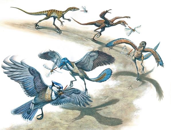 Иллюстрация к книге — Динозавры. 150 000 000 лет господства на Земле [i_190.jpg]