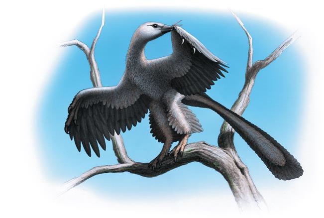 Иллюстрация к книге — Динозавры. 150 000 000 лет господства на Земле [i_200.jpg]