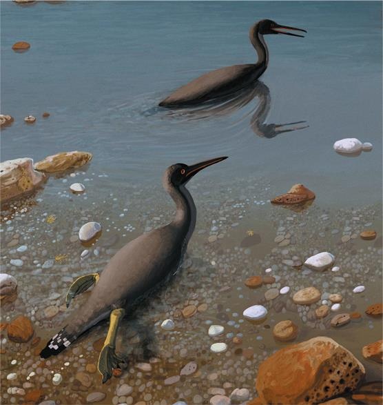 Иллюстрация к книге — Динозавры. 150 000 000 лет господства на Земле [i_208.jpg]