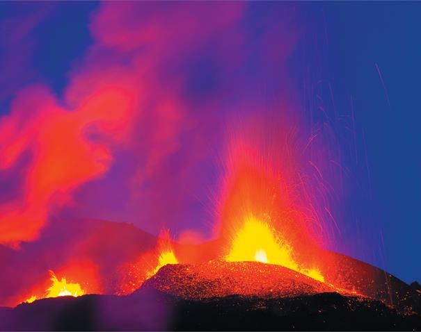 Иллюстрация к книге — Динозавры. 150 000 000 лет господства на Земле [i_213.jpg]