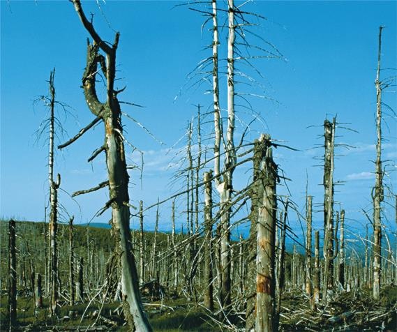 Иллюстрация к книге — Динозавры. 150 000 000 лет господства на Земле [i_214.jpg]