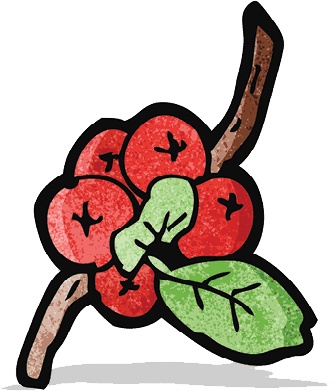 Иллюстрация к книге — Сису. Поиск источника отваги, силы и счастья по-фински [i_013.jpg]