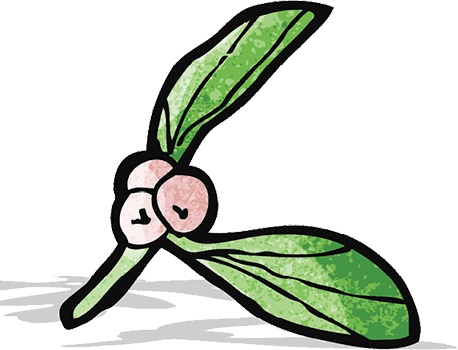 Иллюстрация к книге — Сису. Поиск источника отваги, силы и счастья по-фински [i_029.jpg]