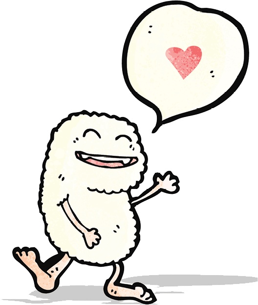 Иллюстрация к книге — Сису. Поиск источника отваги, силы и счастья по-фински [i_066.jpg]