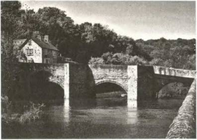 Иллюстрация к книге — Войны роз. Йорки против Ланкастеров [i_025.jpg]