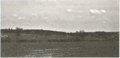 Иллюстрация к книге — Войны роз. Йорки против Ланкастеров [i_045.jpg]