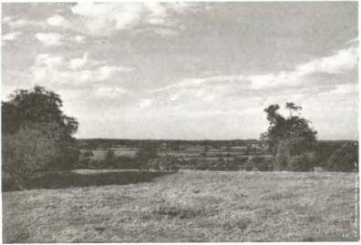 Иллюстрация к книге — Войны роз. Йорки против Ланкастеров [i_053.jpg]