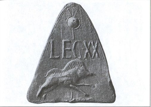 Иллюстрация к книге — Римский воин [i_004.jpg]