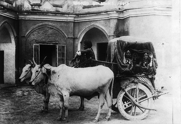 Иллюстрация к книге — Индия. История, культура, философия [_02.jpg]