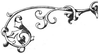 Иллюстрация к книге — Обреченные королевы [i_252.jpg]