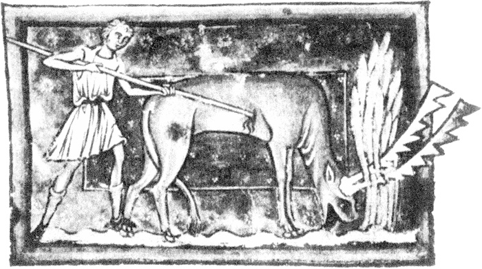 Иллюстрация к книге — Средневековый бестиарий. Что думали наши предки об окружающем их мире [i_006.jpg]