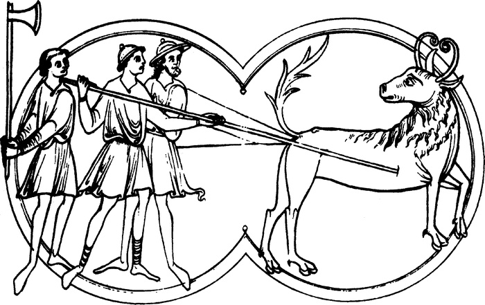 Иллюстрация к книге — Средневековый бестиарий. Что думали наши предки об окружающем их мире [i_014.jpg]