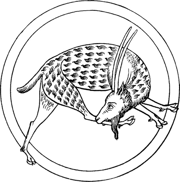 Иллюстрация к книге — Средневековый бестиарий. Что думали наши предки об окружающем их мире [i_018.jpg]