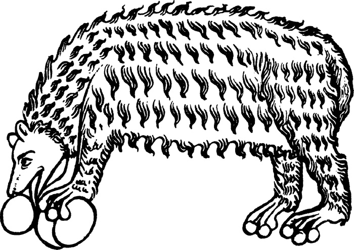 Иллюстрация к книге — Средневековый бестиарий. Что думали наши предки об окружающем их мире [i_021.jpg]