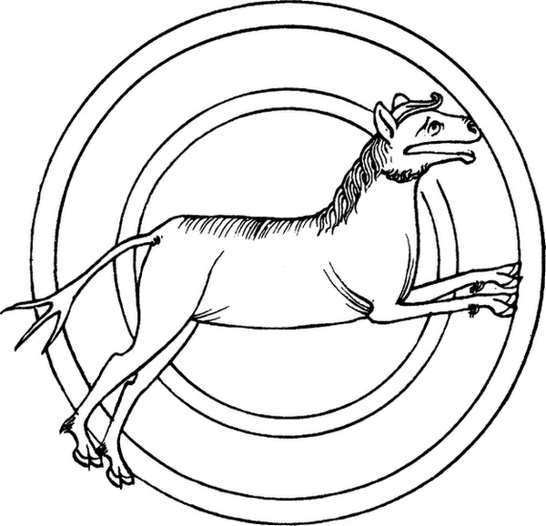 Иллюстрация к книге — Средневековый бестиарий. Что думали наши предки об окружающем их мире [i_022.jpg]