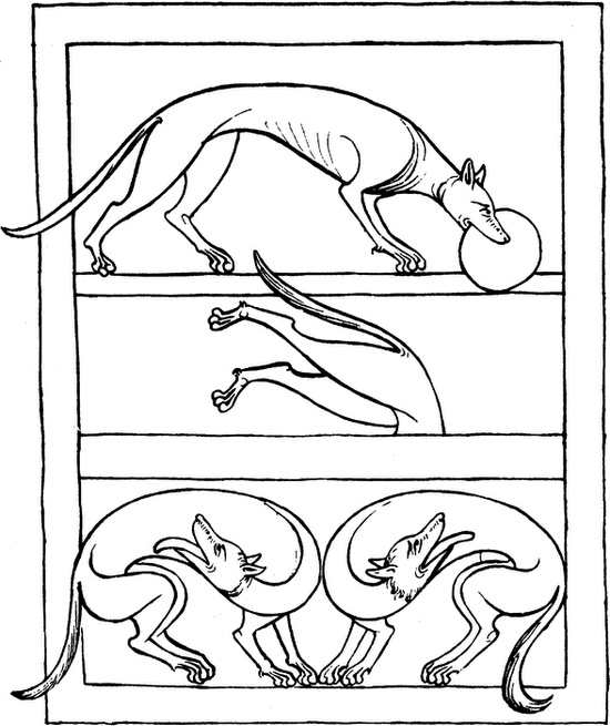 Иллюстрация к книге — Средневековый бестиарий. Что думали наши предки об окружающем их мире [i_031.jpg]